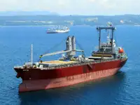 Pembawa pukal untuk jualan