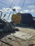 Kapal pukat lilit untuk dijual