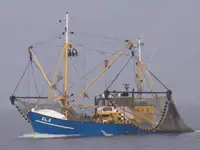 Trawler untuk jualan