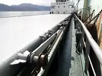 Pembawa pukal untuk jualan