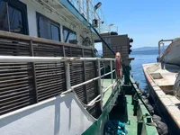 Kapal pukat lilit untuk dijual