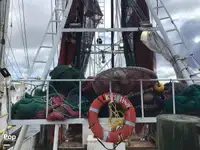 Kapal pukat untuk dijual