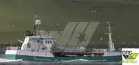 Kapal pukat untuk dijual