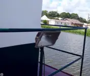 Kapal tunda untuk dijual