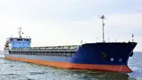 Pembawa pukal untuk jualan