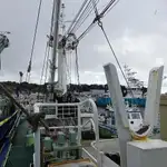 Kapal pukat lilit untuk dijual