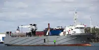 Kapal reefer untuk jualan