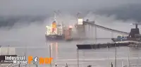 Kapal pengangkut pukal untuk dijual