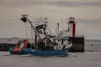 Kapal pukat lilit untuk dijual