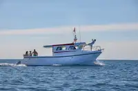Kapal feri untuk jualan