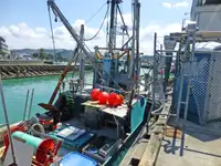 Trawler untuk jualan