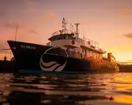 Kapal tinjauan untuk dijual