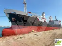 Pembawa pukal untuk jualan