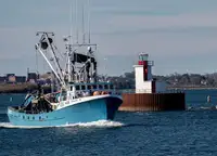 Purse seiner untuk jualan