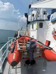 Kapal pengangkut pukal untuk dijual