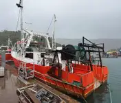 Kapal pukat untuk dijual