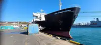 Ro-Ro ship untuk jualan