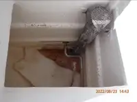 Kapal pukat lilit untuk dijual