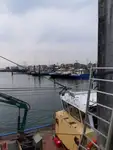 Kapal pukat untuk dijual