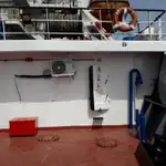 Pembawa pukal untuk jualan