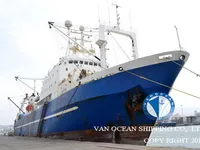 Kapal pukat untuk dijual