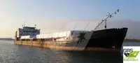 Pembawa pukal untuk jualan