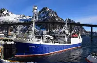 Purse seiner untuk jualan