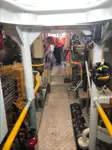 Bot tunda untuk jualan