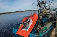 Kapal pukat lilit untuk dijual