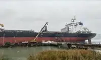 Pembawa pukal untuk jualan