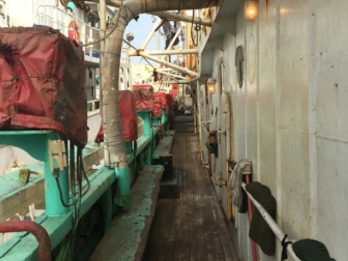 Kapal pencari sotong untuk dijual
