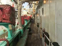 Kapal pencari sotong untuk dijual