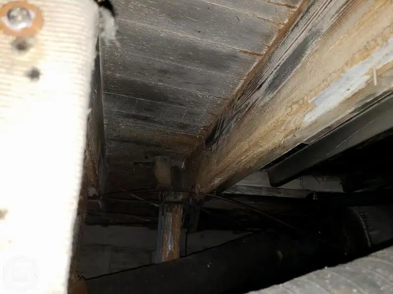 Kapal feri untuk dijual