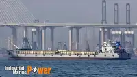 Pembawa pukal untuk jualan