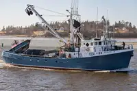 Purse seiner untuk jualan