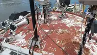 Kapal tunda untuk dijual