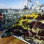 Kapal pukat lilit untuk dijual