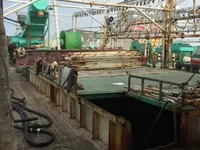 Kapal pencari sotong untuk dijual