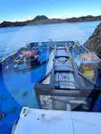 Pembawa pukal untuk jualan