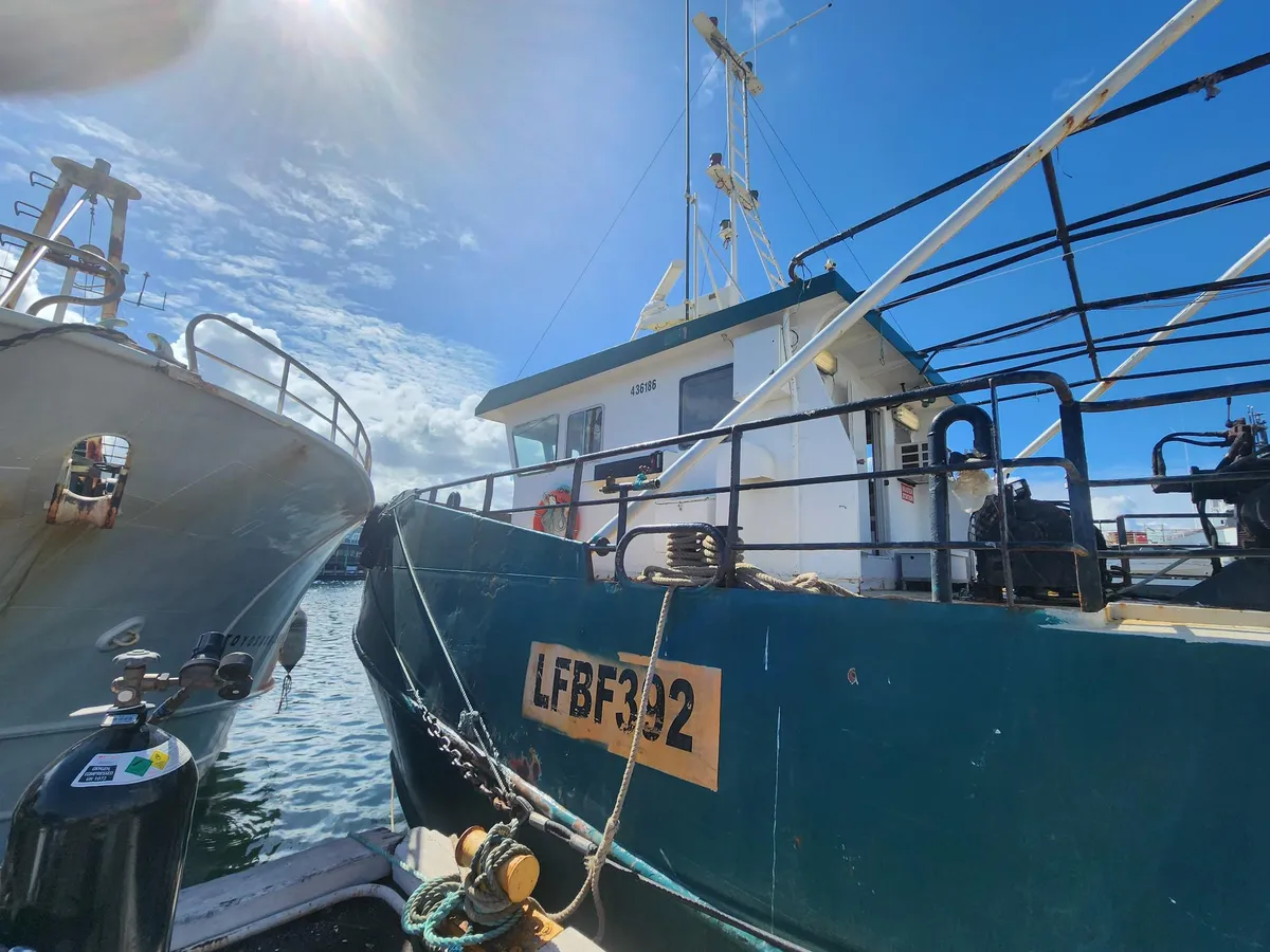 Kapal pukat untuk dijual