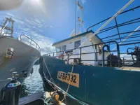 Kapal pukat untuk dijual