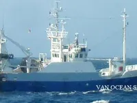 Kapal pukat untuk dijual