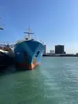 Kapal reefer untuk jualan