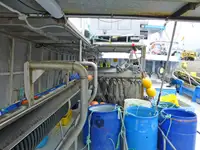 Longliner untuk jualan