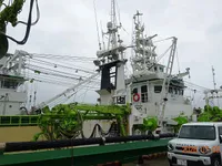 Kapal pukat lilit untuk dijual