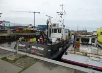 Bot kerja untuk jualan