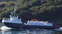 Kapal kerja untuk dijual