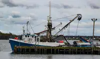 Kapal pukat lilit untuk dijual
