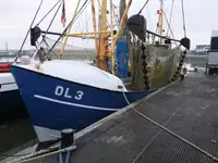 Kapal pukat untuk dijual