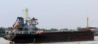 Pembawa pukal untuk jualan